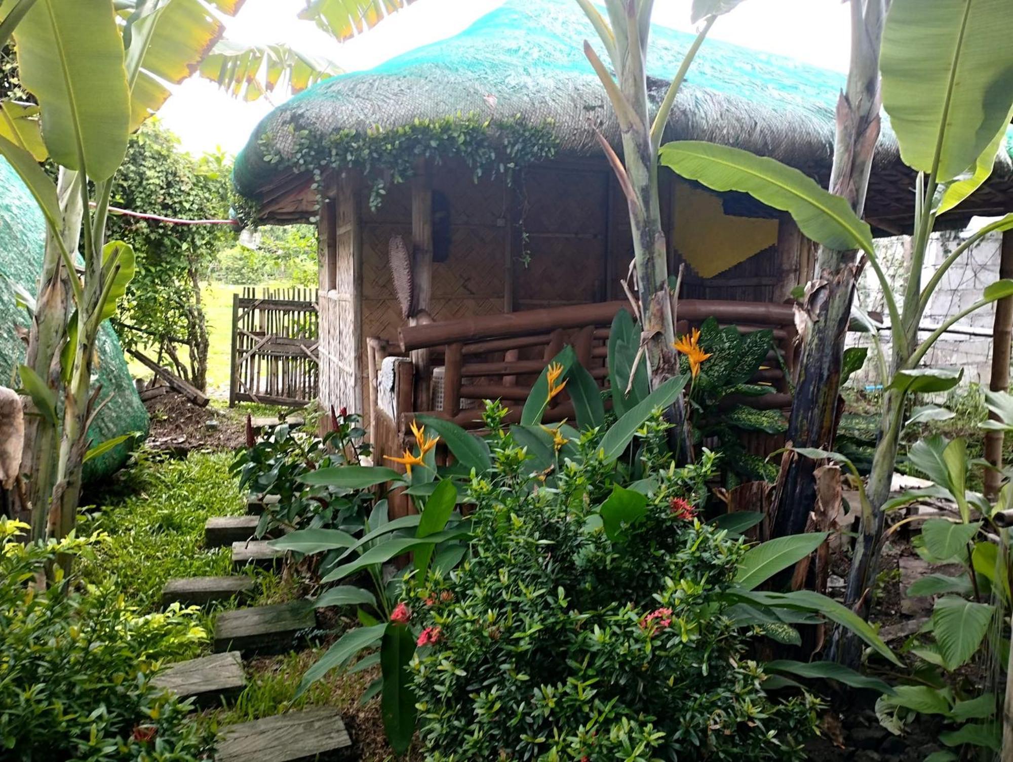 Dupas Luce Love Lodges Talipan Buitenkant foto
