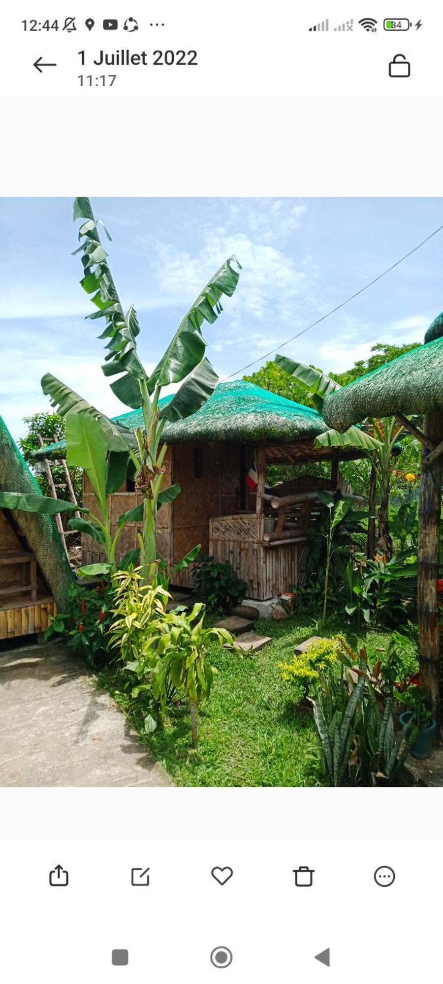 Dupas Luce Love Lodges Talipan Buitenkant foto